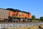 BNSF 5971 Roster shot